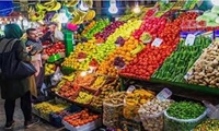 حضور میدانی رئیس سازمان جهاد کشاورزی استان کردستان در بازار میوه و تره‌بار سنندج